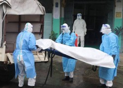 संघीय संसद सचिवालयमा कार्यरत उपसचिवको कोरोना संक्रमणबाट मृत्यु